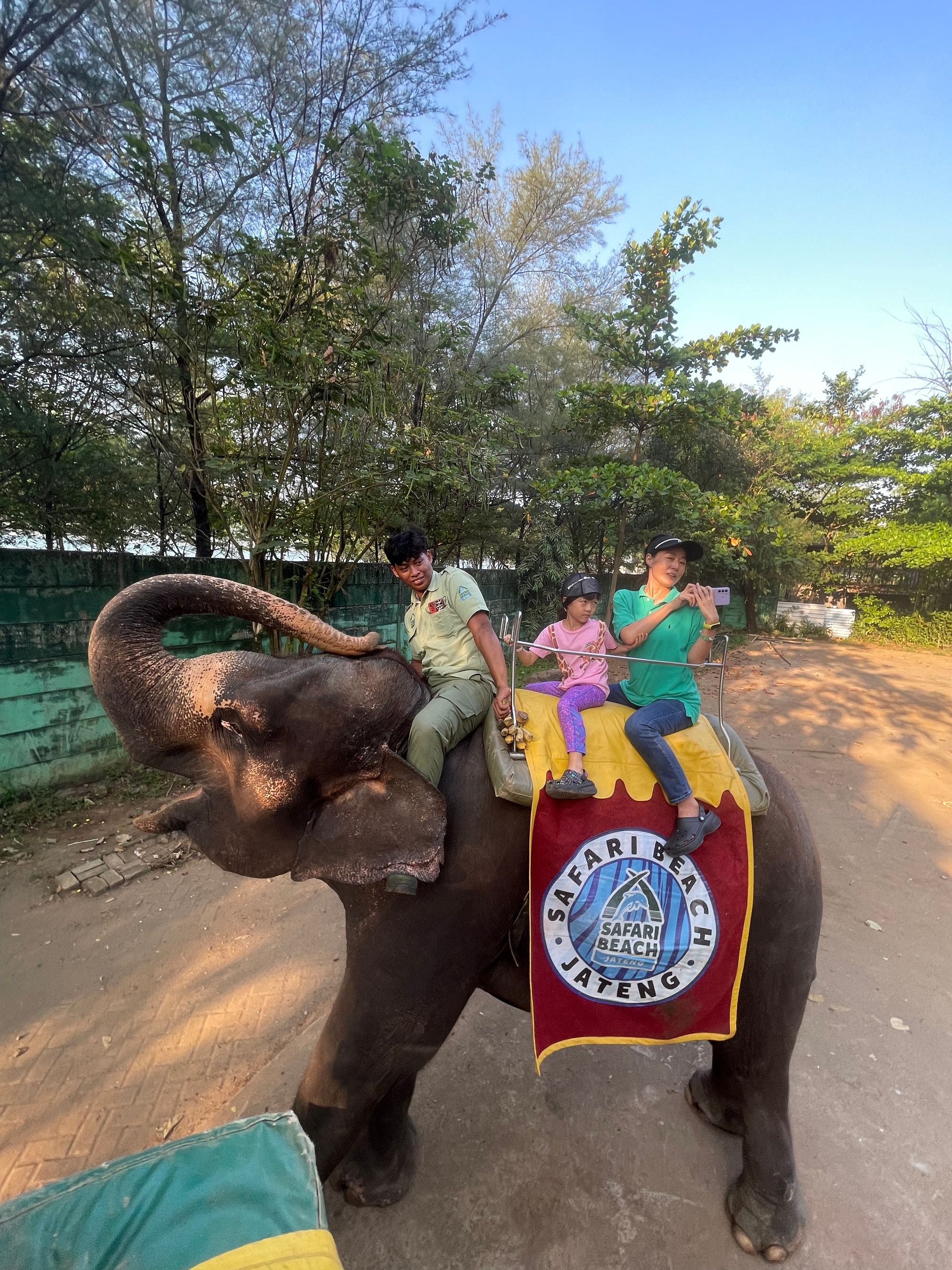 [인도네시아] Safari Beach Jateng 여행 2023 - 코끼리타기 돌고래쇼 불쇼 / 중부자바 바탕